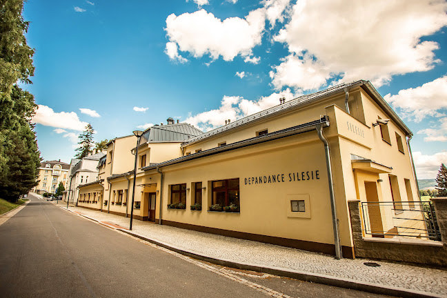 Comentarii opinii despre Restaurace Silesie