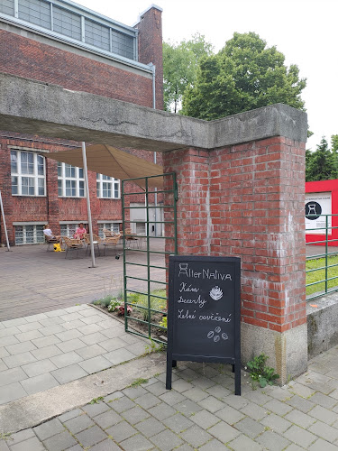 Opinii despre AlterNativa Café (centrum) în Ostrava - Gastronomie a pohostinství