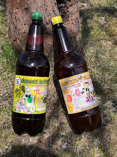 Opinii despre Pidipivovar Lazny în Strašín-Sušice 1 - Gastronomie a pohostinství