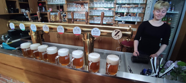Opinii despre Pivovar Holendr în Valašské Meziříčí - Gastronomie a pohostinství