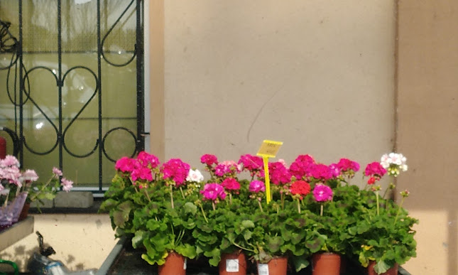 Svatý Kříž 302, 350 02 Cheb 2