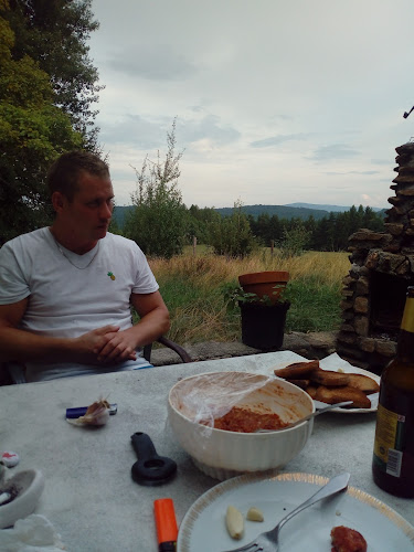 Opinii despre Hospůdka a penzion u Kádi în Chodov - Gastronomie a pohostinství