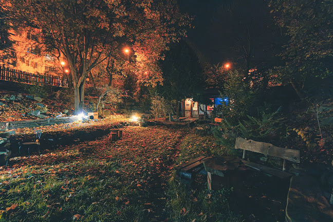 Comentarii opinii despre Čajový obchod a Tao čajovna