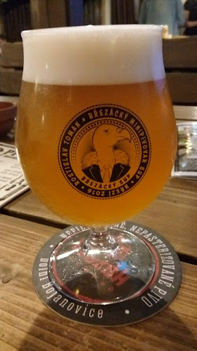 Comentarii opinii despre Pivnice U devatero řemesel