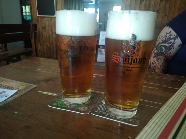 Opinii despre Moravska pivnica în Břeclav - Gastronomie a pohostinství