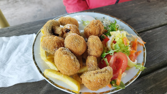 Comentarii opinii despre Restaurace Na Hořičkách (dům, kde pobýval Julius Zeyer)