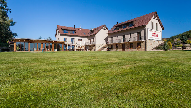 Opinii despre Penzion Na Pilce în Ústí nad Labem - Gastronomie a pohostinství