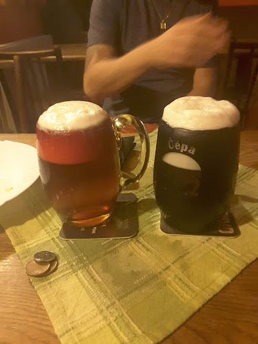 Comentarii opinii despre Hospoda U Studny