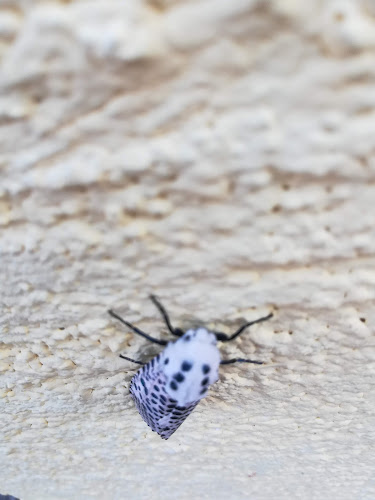 Opinii despre Restaurace Na Kopci în Chrudim - Gastronomie a pohostinství