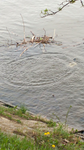 Restaurace Rybářská bašta - Brno