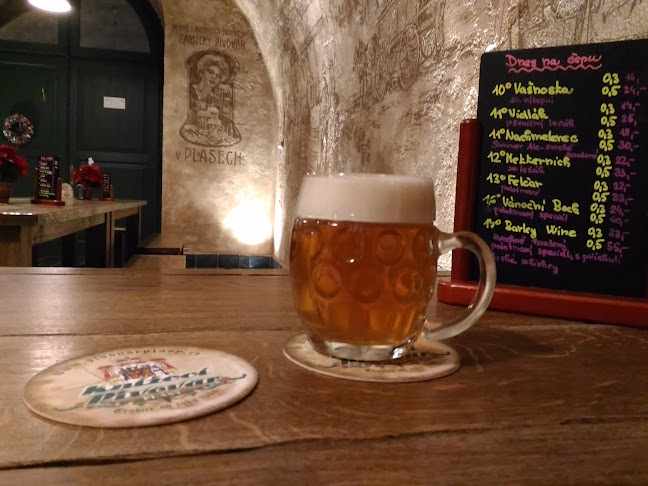 Opinii despre Knížecí pivovar Plasy în Plzeň - Gastronomie a pohostinství