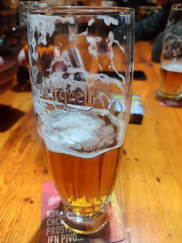 Opinii despre Pivnice U Ptáčků în Teplice - Gastronomie a pohostinství