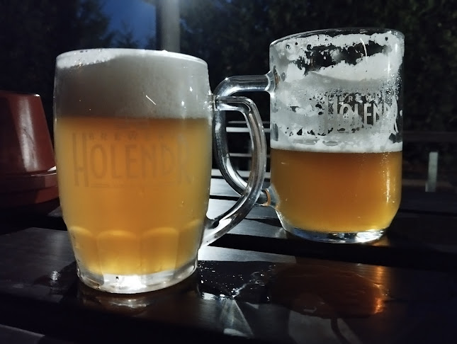 Opinii despre Pivovar Holendr în Valašské Meziříčí - Gastronomie a pohostinství