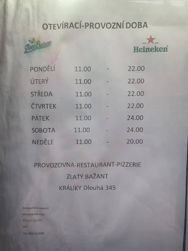 Pizzeria Restaurant Zlatý Bažant - Gastronomie a pohostinství