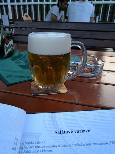 Švejk Pivnice U Věžičky