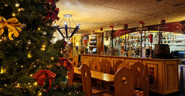 Opinii despre U Křížovníků în Karlovy Vary - Gastronomie a pohostinství