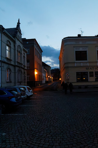 Rybí trh 177, 746 01 Opava 1