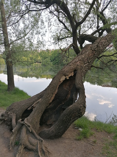 Restaurace Hamr - Gastronomie a pohostinství