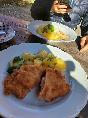 Restaurace / Penzion - Selský dvůr - Karlovy Vary