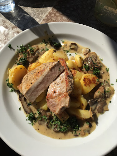 Comentarii opinii despre Restaurace Přeštická svině