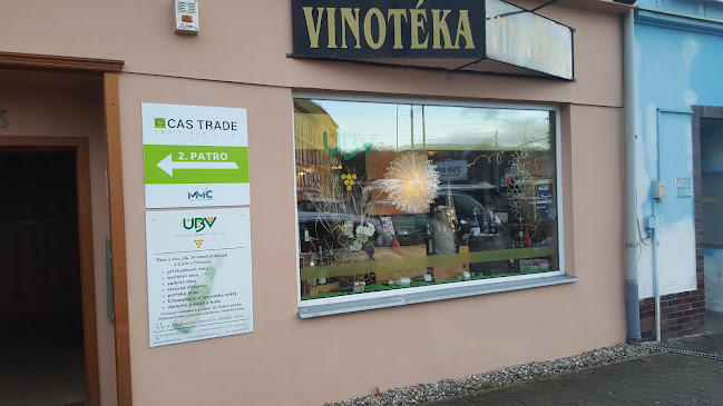 Vinotéka - Ústecká banka vín - Gastronomie a pohostinství