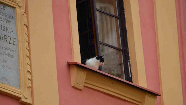 Opinii despre U pavouka în Pardubice - Gastronomie a pohostinství