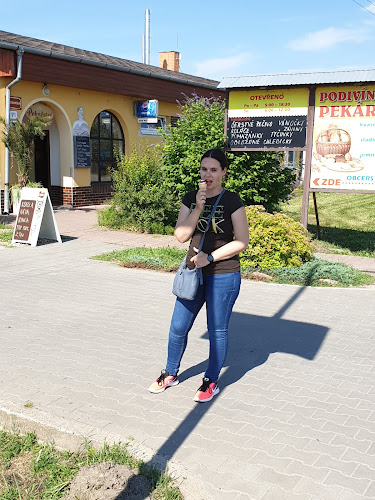 Opinii despre U Machů în Brno - Gastronomie a pohostinství