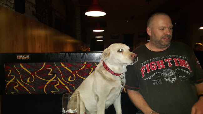 Comentarii opinii despre Restaurace u Káči