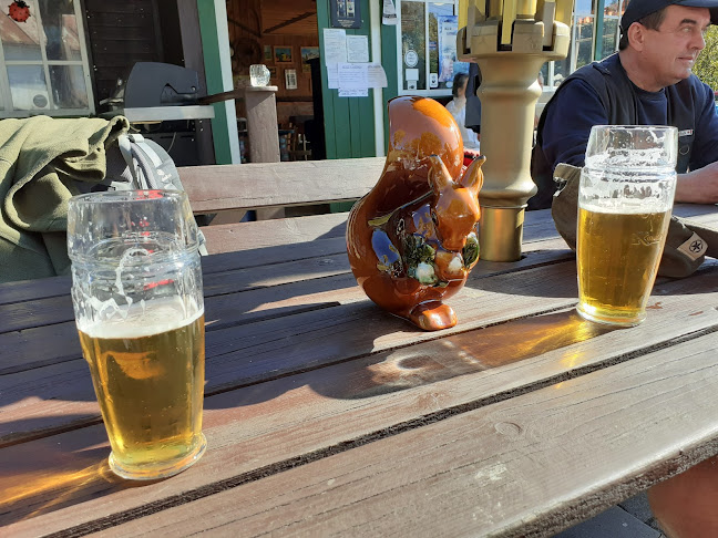 Opinii despre Hospůdka U Zlatokopa în Dolní Falknov - Gastronomie a pohostinství