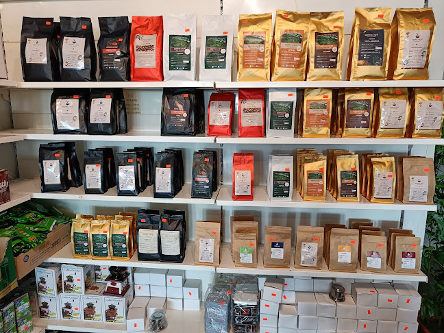 Hippo Café - Pražírna kávy