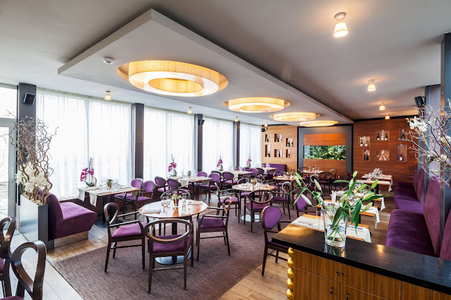 Bohém Restaurant Litomyšl - Litomyšl