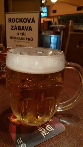 U TŘÍ BERNARDÝNŮ - Gastronomie a pohostinství