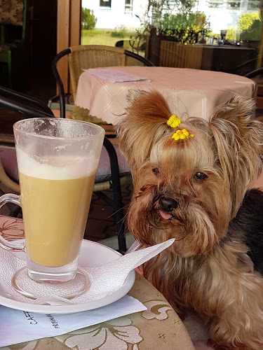 Comentarii opinii despre Caffe Bar Siesta