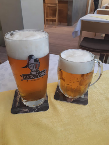 Restaurace Silesie - Gastronomie a pohostinství