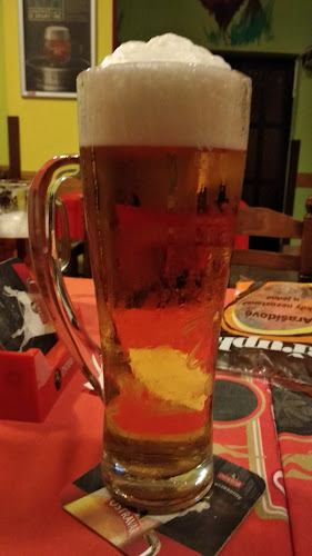 Antošovická 216, 711 00 Slezská Ostrava-Koblov