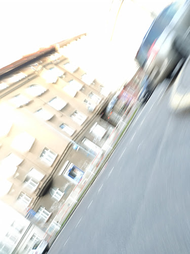 Opinii despre Vinotéka U Michala - Pod Viechou în Praha - Gastronomie a pohostinství