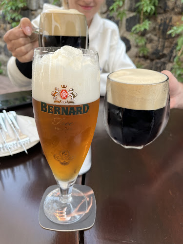 Opinii despre Restaurace Slunce în Dvůr Králové nad Labem - Gastronomie a pohostinství