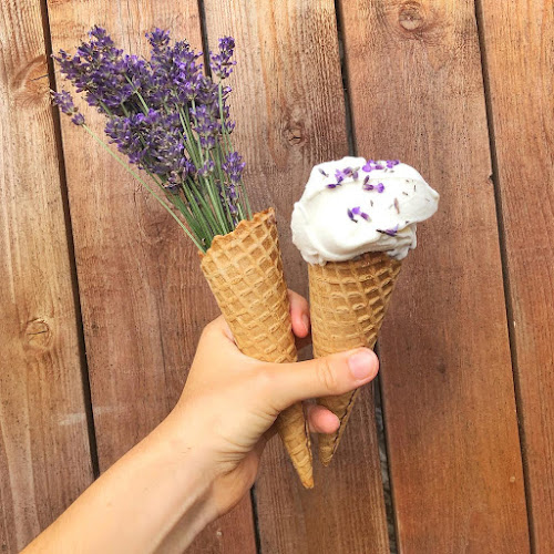 Opinii despre RustiC în Uničov - Gastronomie a pohostinství