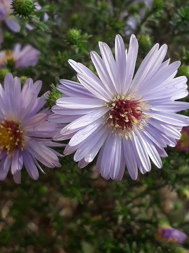 Na Pěšině 204, 405 05 Děčín 5-Bynov