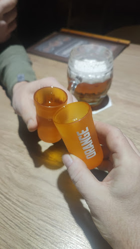 Opinii despre Radkovna Grill & Beer Restaurant în Bohumín - Gastronomie a pohostinství