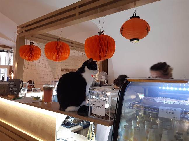 Kavárna Kočičí Praha - Staré Město