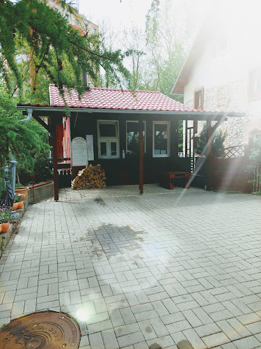 Comentarii opinii despre Pizza Pazza