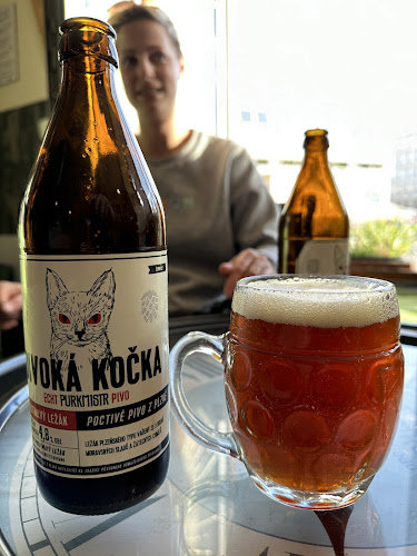 Pražská 72/33, 301 00 Plzeň 3-Východní Předměstí