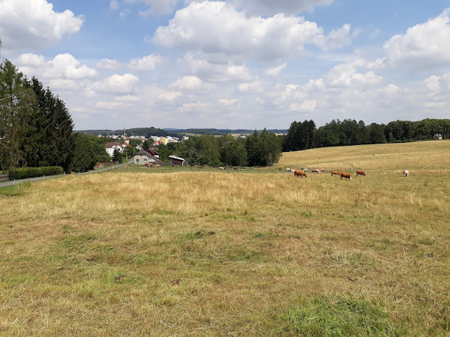 Čajovna a kavárna "Na kopečku" - Gastronomie a pohostinství
