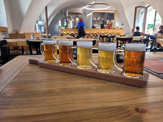 Opinii despre Klášterní pivovar Porta Coeli în Brno - Gastronomie a pohostinství
