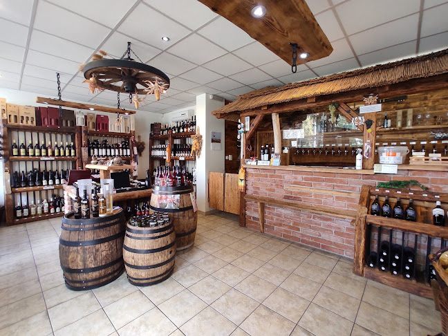 Opinii despre Vinotéka u Romana în Brno - Gastronomie a pohostinství