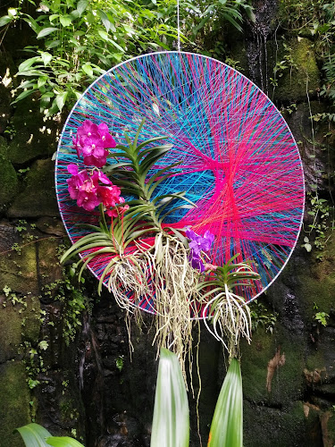 Comentarii opinii despre Hospoda U Milana