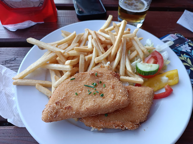 Comentarii opinii despre Lovecká chata