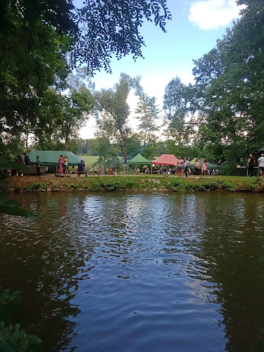 Comentarii opinii despre PÁDLO MORAVA cyklisticko-vodacký kemp, půjčovna lodí a raftů