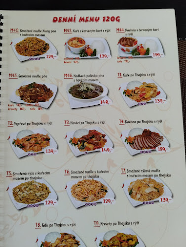 Opinii despre Čínská restaurace XinFu în Praha - Gastronomie a pohostinství